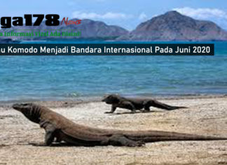 Pulau Komodo Menjadi Bandara Internasional Pada Juni 2020 Pulau Komodo Menjadi Bandara Internasional Pada Juni 2020