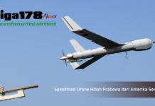 Spesifikasi Drone Hibah Prabowo dari Amerika Serikat Drone, Indonesia, ScanEagle, Liga178 News