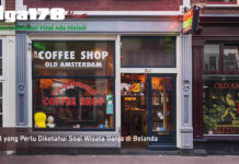 6 Hal yang Perlu Diketahui Soal Wisata Ganja di Belanda Belanda, Ganja, Indonesia, Liga178 News