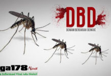 Virus DBD Adalah Ancaman Nyata bagai Tanah Air, Jumlah Kasus Setara Virus Corona