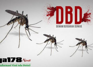 Virus DBD Adalah Ancaman Nyata bagai Tanah Air, Jumlah Kasus Setara Virus Corona