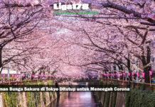 Taman Bunga Sakura di Tokyo Ditutup untuk Mencegah Corona Taman Bunga Sakura di Tokyo Ditutup untuk Mencegah Corona