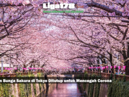 Taman Bunga Sakura di Tokyo Ditutup untuk Mencegah Corona