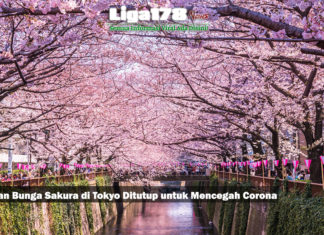 Taman Bunga Sakura di Tokyo Ditutup untuk Mencegah Corona Taman Bunga Sakura di Tokyo Ditutup untuk Mencegah Corona
