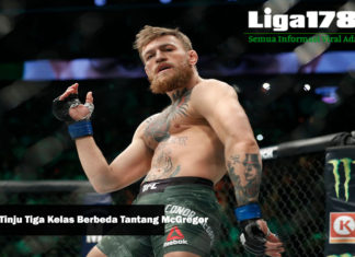 Juara Tinju Tiga Kelas Berbeda Tantang McGregor McGregor, Alvarez, UFC, Liga178 News