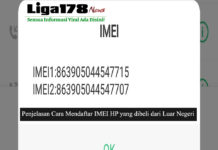 Penjelasan Cara Mendaftar IMEI HP yang dibeli dari Luar Negeri Penjelasan Cara Mendaftar IMEI HP yang dibeli dari Luar Negeri