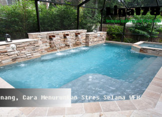 Berenang, Cara Menurunkan Stres Selama WFH WFH, renang, mood, Liga178 News