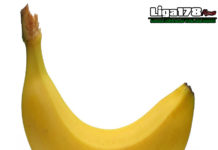 Pria Wajib Tahu, Ini Alasan Suka Alami Ereksi di Pagi Hari Pria Wajib Tahu, Ini Alasan Suka Alami Ereksi di Pagi Hari