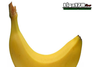 Pria Wajib Tahu, Ini Alasan Suka Alami Ereksi di Pagi Hari Pria Wajib Tahu, Ini Alasan Suka Alami Ereksi di Pagi Hari