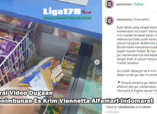 Viral Video Dugaan Penimbunan Es Krim Viennetta Alfamart-Indomaret penimbunan es kirim Viennetta, alfamart, indomaret, produk, Liga178 News