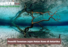 Peneliti Menemukan Jejak Hutan Hujan Kuno di Antartika Peneliti Menemukan Jejak Hutan Hujan Kuno di Antartika