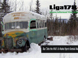 Teklanika, SOS, McCandless, Liga178 News