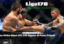 Dana White Sebut UFC 249 Digelar di Pulau Pribadi UFC, TMZ, corona, Liga178 News