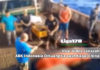 Viral Video Jenazah ABK Indonesia Dibuang ke Laut Kapal China jenazah Anak Buah Kapal (ABK), Kapal China, Seoul, Liga178 News