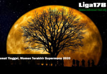 Selamat Tinggal, Momen Terakhir Supermoon 2020 NASA, Supermoon, Bulan, Liga178 News