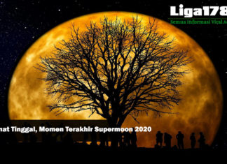 Selamat Tinggal, Momen Terakhir Supermoon 2020 NASA, Supermoon, Bulan, Liga178 News