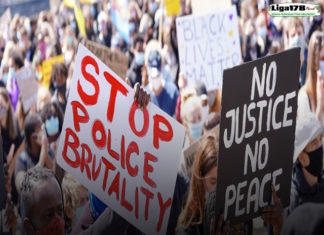 DPR Anggap Tak Relevan Kaitkan Papua dengan Kematian Floyd