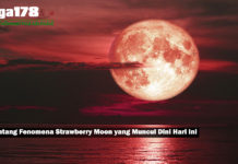 Tentang Fenomena Strawberry Moon yang Muncul Dini Hari Ini Tentang Fenomena Strawberry Moon yang Muncul Dini Hari Ini
