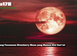 Tentang Fenomena Strawberry Moon yang Muncul Dini Hari Ini Tentang Fenomena Strawberry Moon yang Muncul Dini Hari Ini