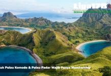 Masuk Pulau Komodo & Pulau Padar Wajib Punya Membership Pulau Komodo, Pemerintah, Ekonomi, Liga178 News